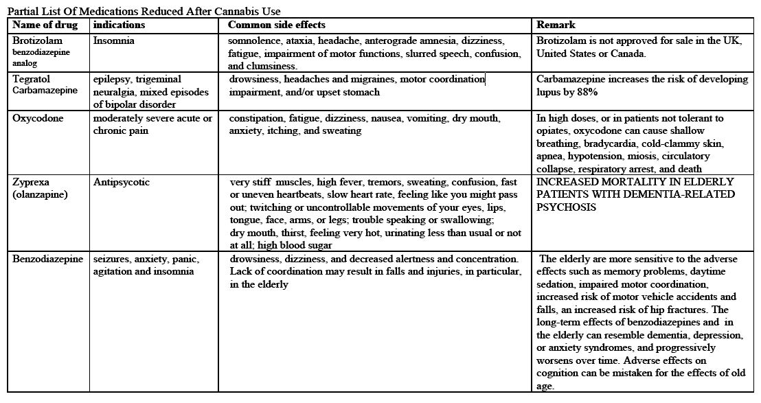 Polypharmacy research paper