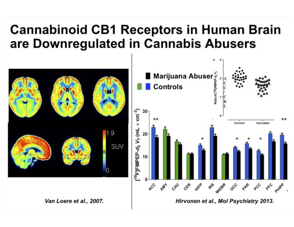 CB! downregulated